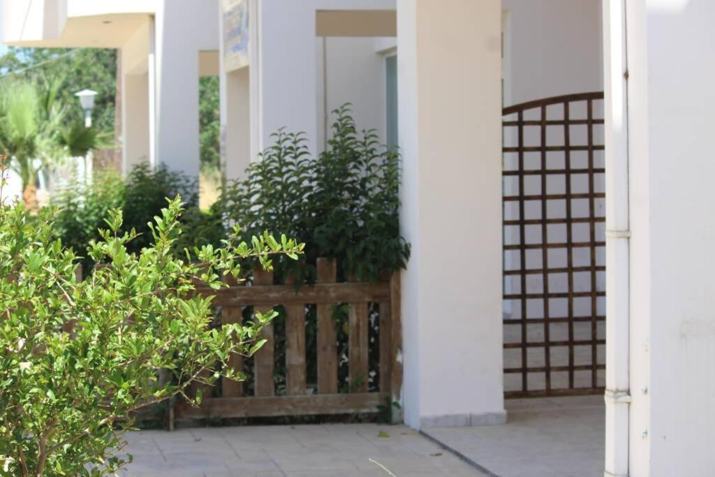 Spacious & Cozy Apartment, With Big Yard, In Kos Cidade de Kos Exterior foto